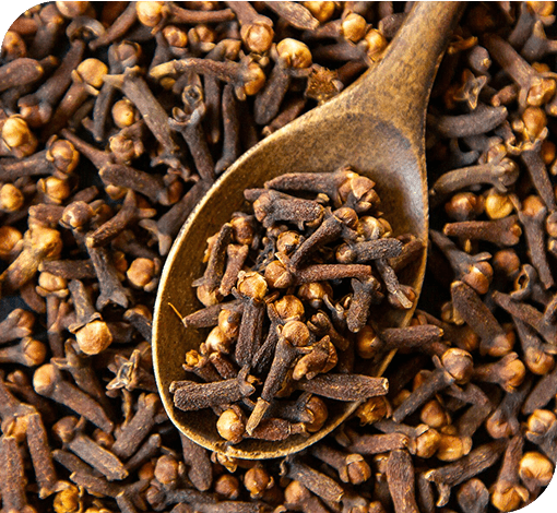 Cloves