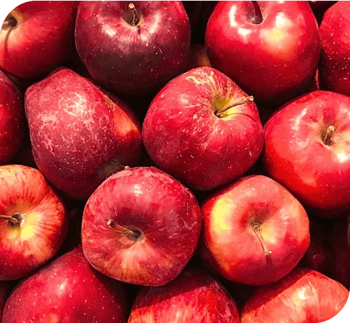 Apples