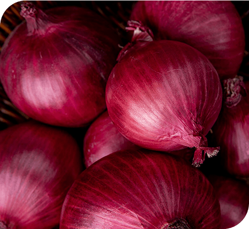 Onion
