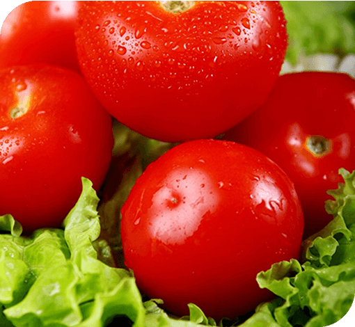 Tomato